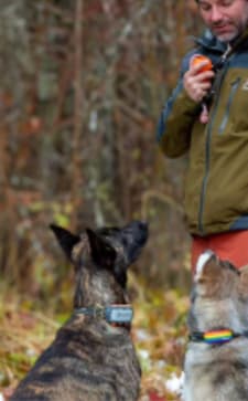 austrianmusher con Tractive GPS para perros